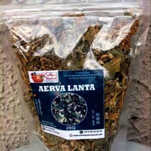 Sachet de plantes Aerva Lanata Akouè man naturel