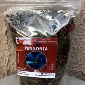 Vernonia