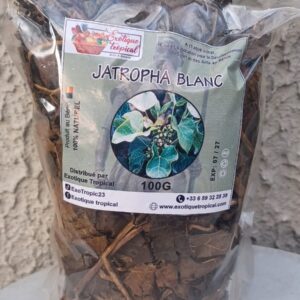 Feuilles de Jatropha blanc